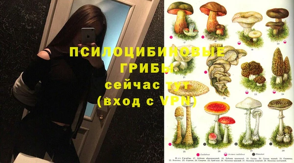 ешки Абдулино