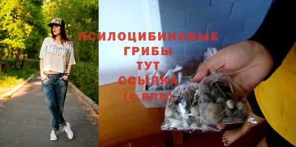 ешки Абдулино