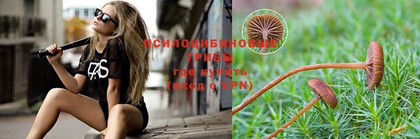 apvp Алексин
